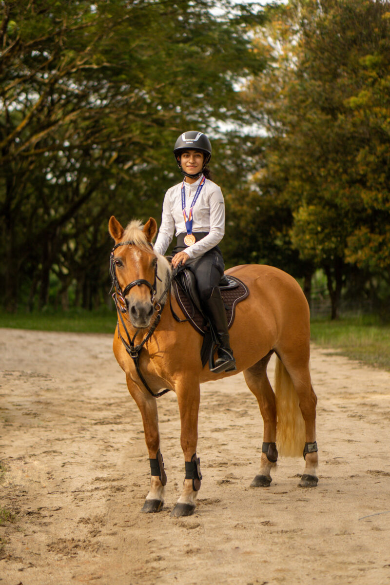 Horsey Riders HORSE & RIDER - nat-ong.com