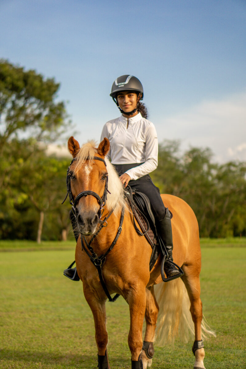 Horsey Riders HORSE & RIDER - nat-ong.com